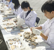 「地球・惑星の科学」(6年)