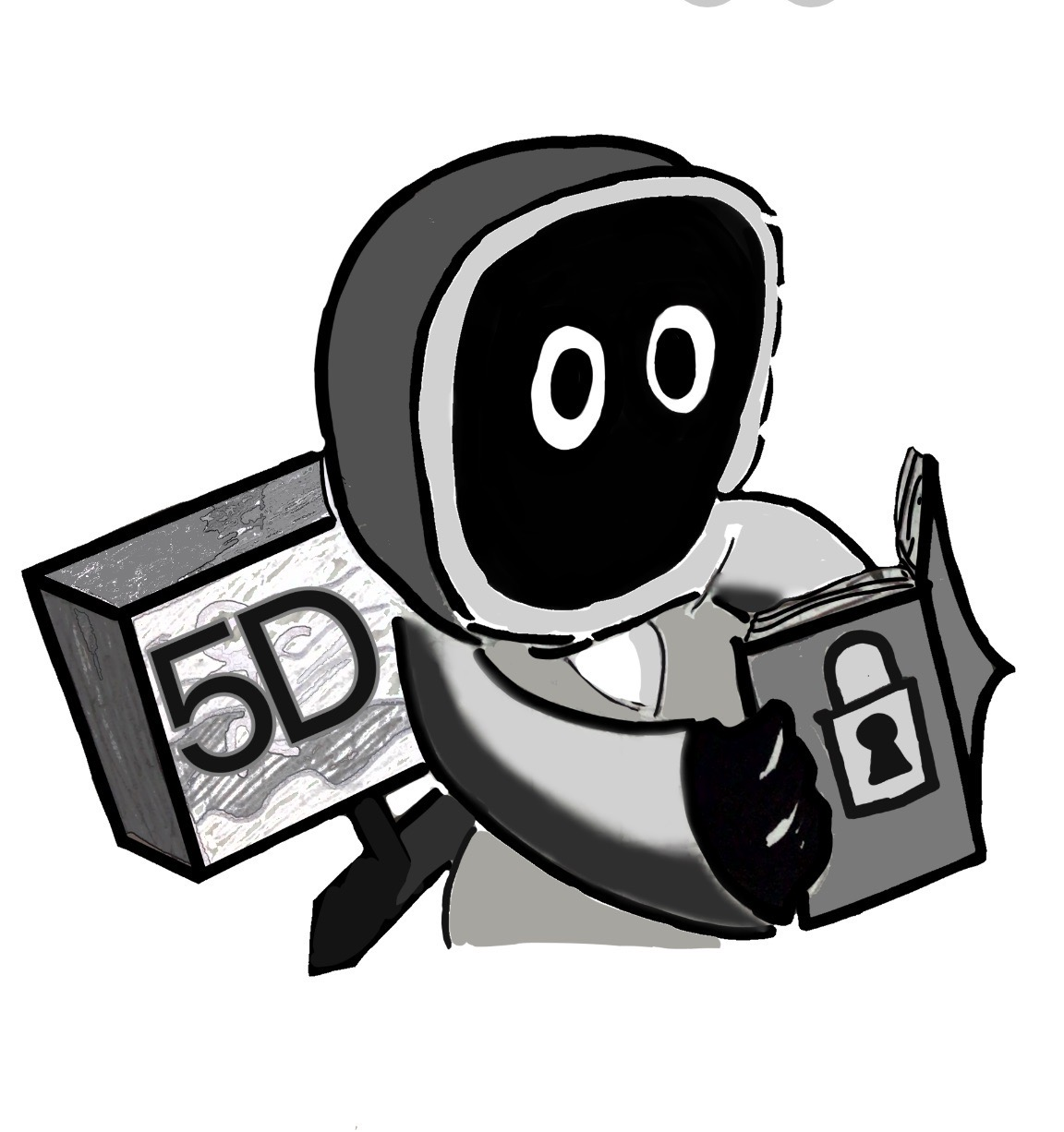 5D