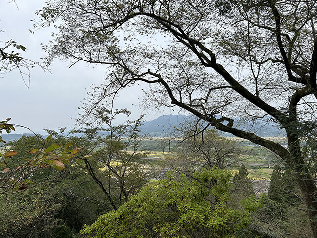 2年東北IMG_0148_Original.jpg