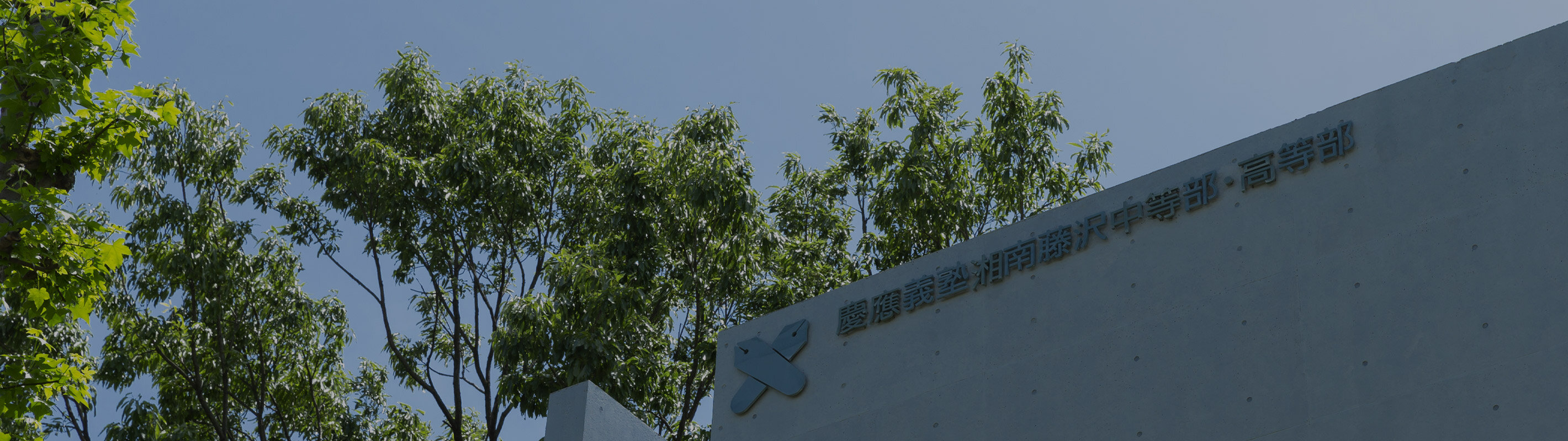 学校概要