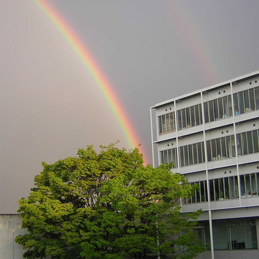 校舎と虹